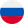 Russia Flag
