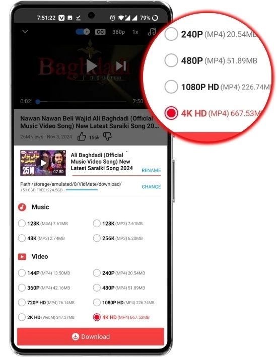 Multi format video downloader
